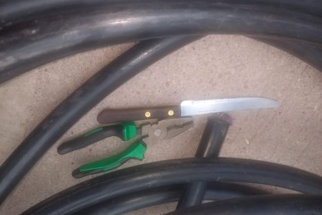 Imagen de referencia. Imagen de referencia.