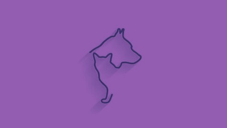 Test de personalidad