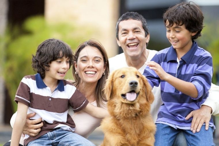 Perros Perros para cada familia Foto: Vix