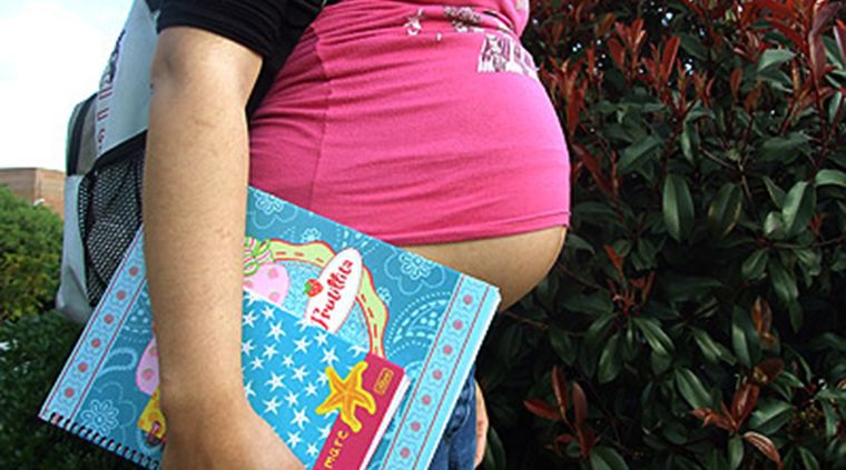 Foto: pulsodf.com.mx