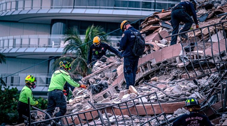 Los trabajos no se detienen. Foto: LaOpinión.