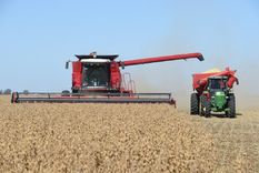 Se dio a conocer el reporte de la Dirección de Informaciones y Estudios Económicos de la Bolsa de Comercio de Rosario. Foto: Bolsa de Comercio de Rosario