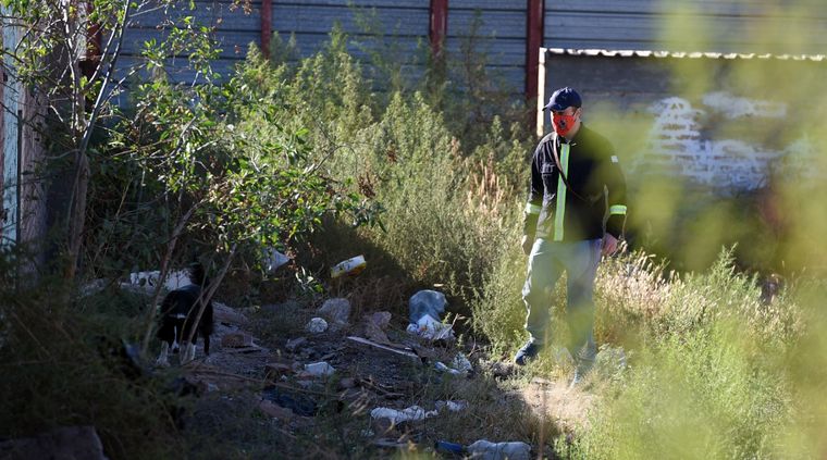 Foto: ALF PONCE MERCADO / MDZ