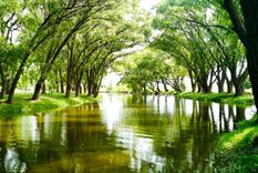 Un pueblo tranquilo con ríos y grandes árboles donde descansar bajo su sombra. Foto: Argentina Turismo