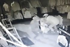 Los delincuentes arrasaron con la mercadería