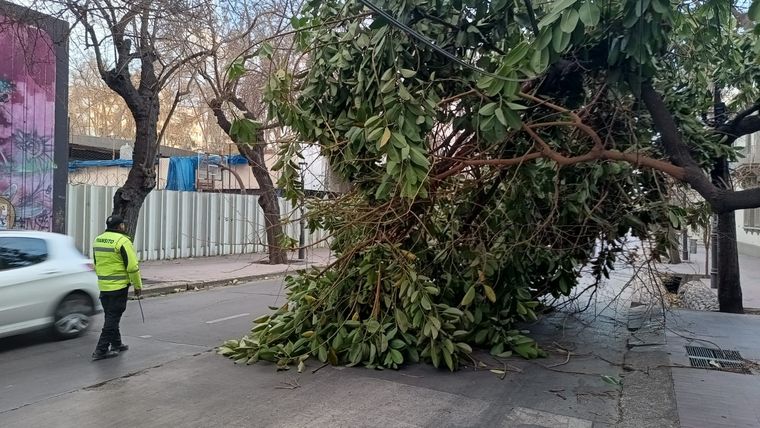 Foto: Walter Moreno / MDZ