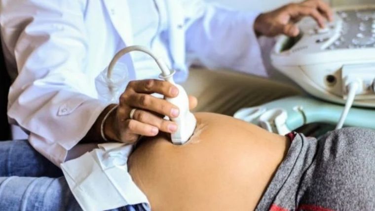 El embarazo requiere de diferentes cuidados dados los factores que pueden incidir en el estado de salud de la madre, y, por ende, en el buen desarrollo del feto. Foto: MDZ