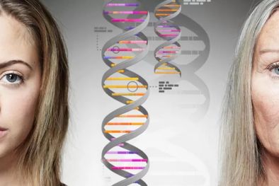 MDZol | Investigadores de la Universidad Eötvös Loránd de Hungría han logrado establecer el vínculo entre los genes saltarines y el envejecimiento. Foto: GETTY IMAGES