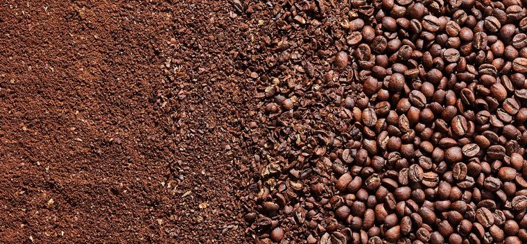 El café viene de la planta del cafeto y el grano de café pasa su mayor etapa vegetativa en la planta. Foto: Bon Appetit (bonappetit.com)