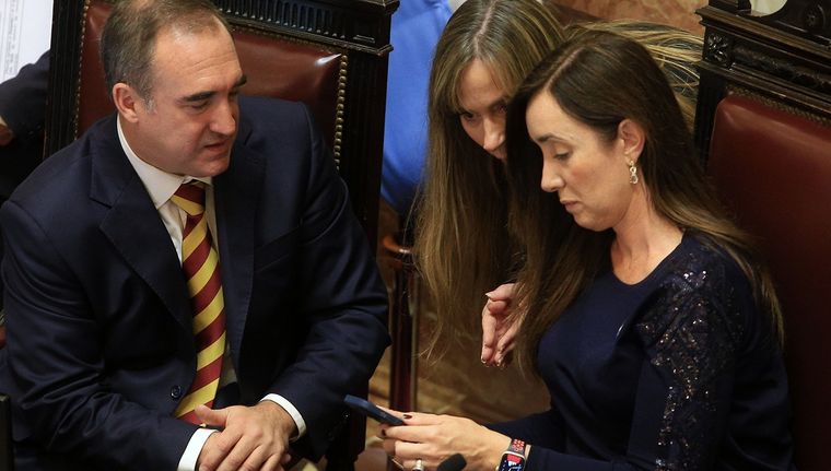 El Gobierno espera una sesión de alto voltaje en el Senado Foto: NA