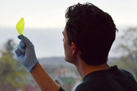 Crean la primera hoja sintética que transforma agua y luz en oxígeno