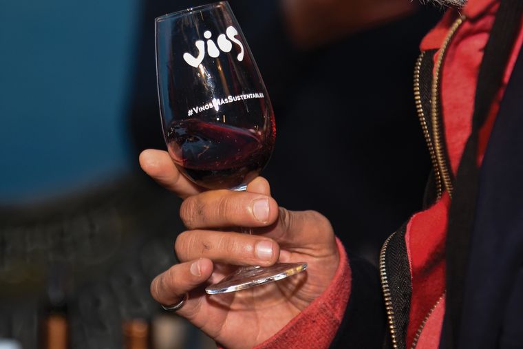 Las exportaciones de vino no repuntan Foto: Gentileza Vios