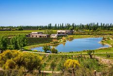 Durigutti Family Winemakes volvió a ser la mejor bodega argentina en el listado de The Worlds Best Vineyards 2025.&nbsp;