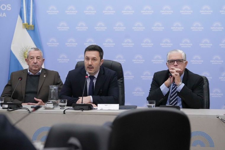 Foto: X @DiputadosAR