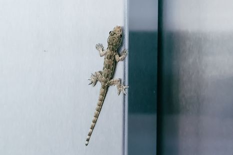 Un sueño para analizar. Foto: Shutterstock