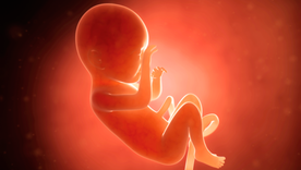 Hay deudas que ninguna ley puede saldar si no cambia primero la forma en que nos miramos como sociedad. Hay deudas que ninguna ley puede saldar si no cambia primero la forma en que nos miramos como sociedad.