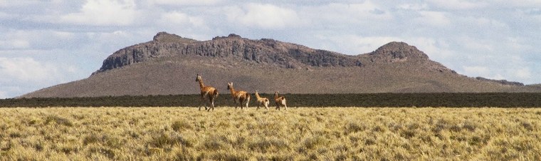 Valcheta, el pueblo rionegrino donde la Patagonia conserva su pulso original