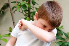 Los menores de edad son un grupo vulnerable ante la tos convulsa o coqueluche.