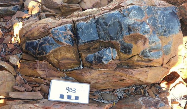 Los microfósiles están contenidos dentro de pedernal negro como los que se ven aquí. Foto: Dpa.