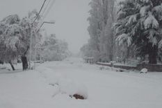 Foto ilustrativa del Manzano Histórico nevado Foto: Osvaldo Valle Foto ilustrativa del Manzano Histórico nevado Foto: Osvaldo Valle
