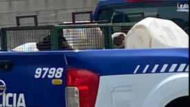 El ataque ocurrió mientras jugaba con su hermano en la calle, después de que el vecino soltará a los perros. El ataque ocurrió mientras jugaba con su hermano en la calle, después de que el vecino soltará a los perros.