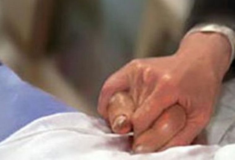 Foto: WEB
