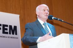 para la fem, mendoza esta en recesion