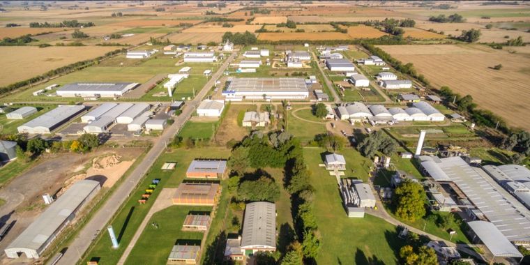 Este entramado industrial actúa como un verdadero motor económico: impulsa el comercio, los servicios, el transporte, la logística y la construcción.