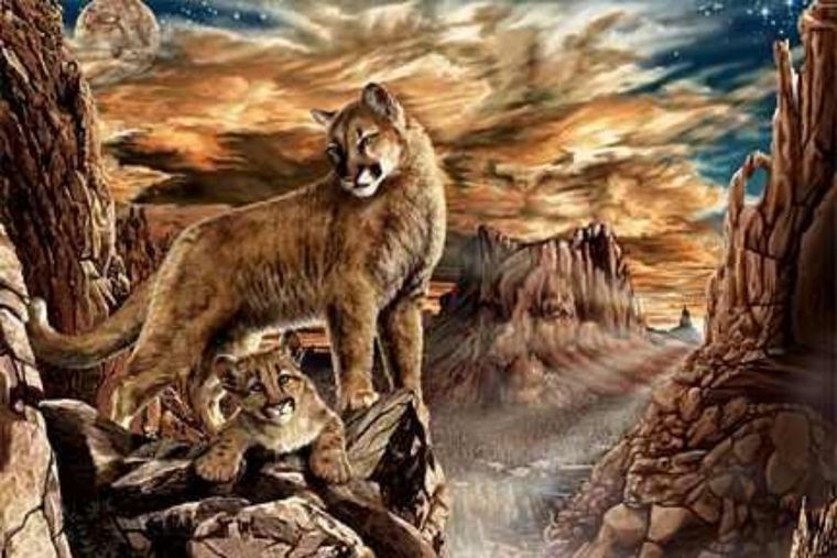 Puma, Acertijo visual, reto visual