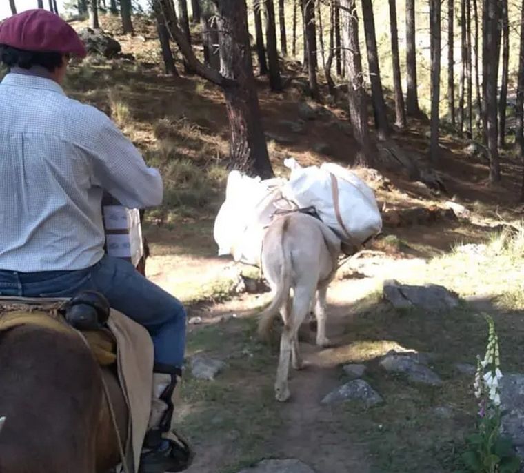 Cinco horas de viaje en caballo y burro lleva alcanzar las urnas a la Escuela Florentino Ameghino, ubicada en la base del cerro Champaquí de Córdoba Foto: Gentileza altainfonoticias