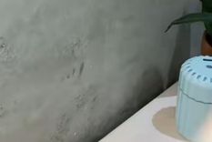 Tips caseros para que tu baño huela delicioso Simples pasos super sencillos Foto: Fuente: Imagen / @viviendoencasa