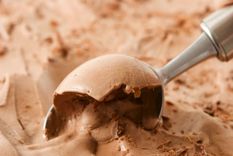 Con este helado casero de chocolate deleitarás a tu familia. Foto: Shutterstock