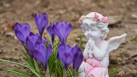 Traen paz y amor. Foto: Fuente: Shutterstock