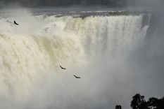 Nuevo récord: el Parque Nacional Iguazú alcanzó el millón y medio de visitantes anuales-