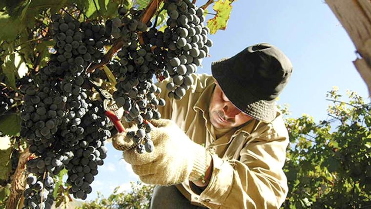 La importancia de la sustentabilidad.