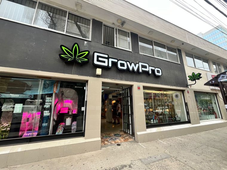 Grow Pro es una de las tantas tiendas dedicadas a vender semillas de cannabis Foto: Andrea Ginestar / MDZ