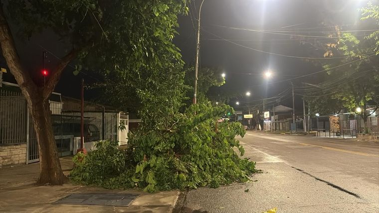 Mendoza se vio afectada por otra fuerte tormenta y permanece bajo alerta.&nbsp;
