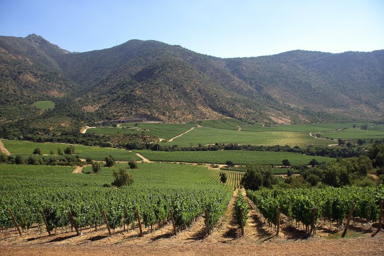Entre cerros y cielos estrellados, el Valle del Elqui es reconocido como uno de los destinos más enigmáticos y energéticos de Chile.