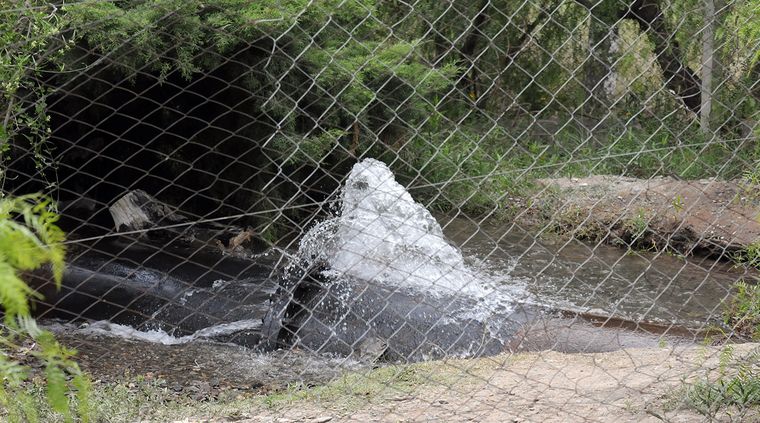 Foto: Alf Ponce / MDZ