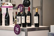 Muchos vinos subastados para una gran recaudación