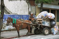 Los caballos usados por recolectores informales de basura también son usados en carreras cuatreras los fines de semana