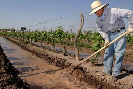 Con el incremento de hectáreas, creció la cantidad de anotados en el seguro agrícola. Foto: Gobierno de Mendoza