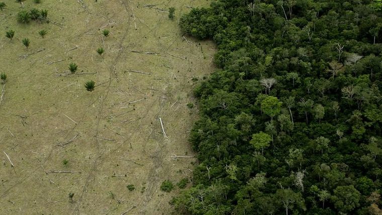 La venta ilegal de tierras es un problema en toda la Amazonía. Foto: GETTY IMAGES