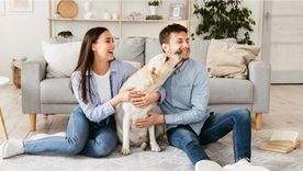 Mascotas Las mascotas suelen demostrar cariño por las personas con las que se sienten seguras Foto: Shutterstock