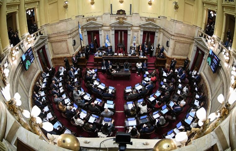 El Senado sumó otra polémica Foto: Archivo MDZ