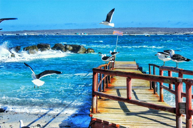 El pueblo costero de Punta de Choros se asienta frente al Pacífico con una línea de horizonte donde aparecen las islas del archipiélago Humboldt.