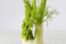 Conocé los beneficios de consumir hinojo, te contamos todo en la nota Foto: Freepik