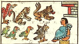 Los animales eran parte importante de la relación de los mexicas (o aztecas) con el universo.