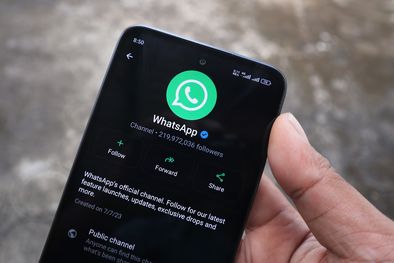 MDZol | shutterstock_2582264413