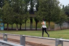 Foto: ALF PONCE MERCADO / MDZ